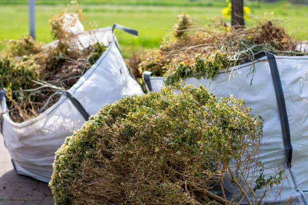 Best Recycling Services for Junk  in Astatula, FL